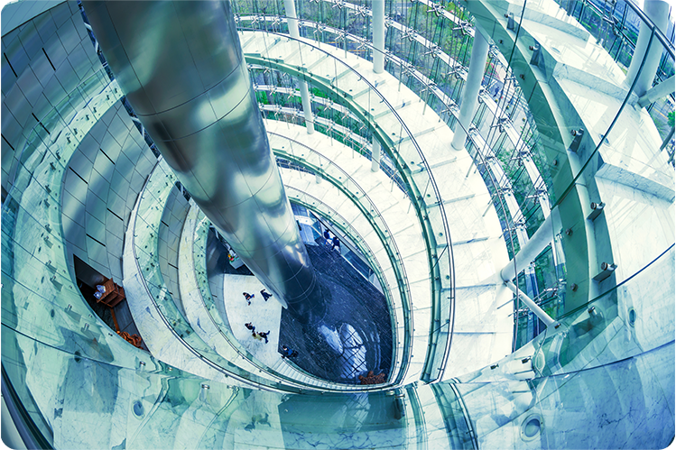 שירות ניקיון לגופים רשתיים