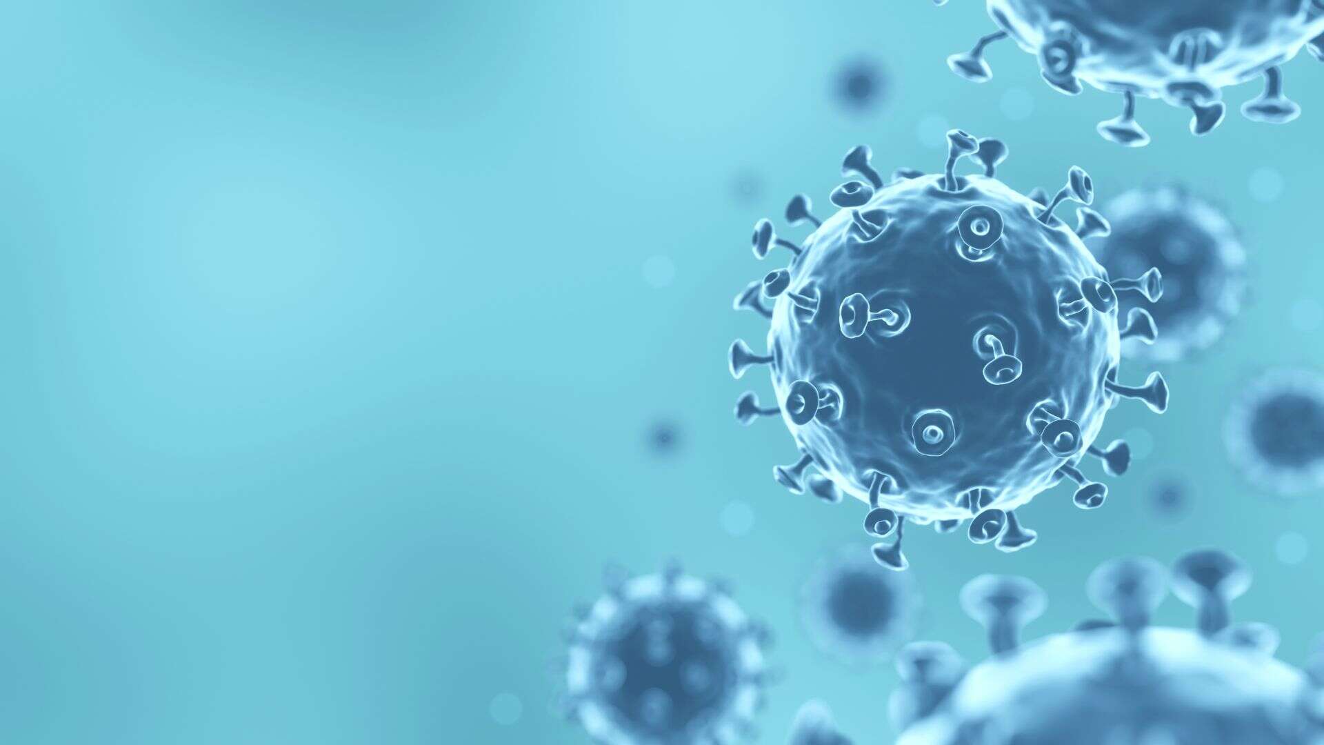 ניקיון - הפתרון הפשוט והיעיל לבלימת התפשטות הקורונה