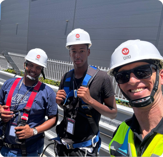 טווס: חברה שהיא משפחה